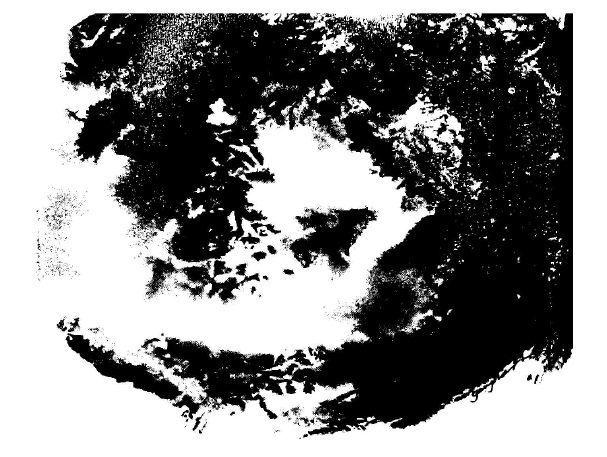 Heavily darkened illustration, probably shaped like a coastline seen from above.