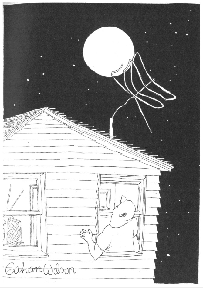 A cartoon depicting a man leaning out of an upper window in his house, looking up at a poorly-made antenna on his roof which is listing to the right.  The moon is just above the antenna, and stars fill the rest of the dark sky.  Through the other window of the house the man's television is visible, showing a screen full of static.