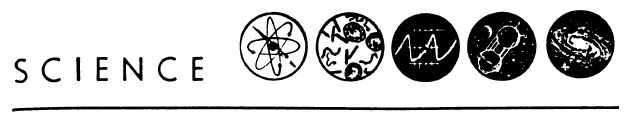 Banner illustration with the word Science and little drawings of an atom, some cells, mathematical graphs, a spaceship, and a galaxy.