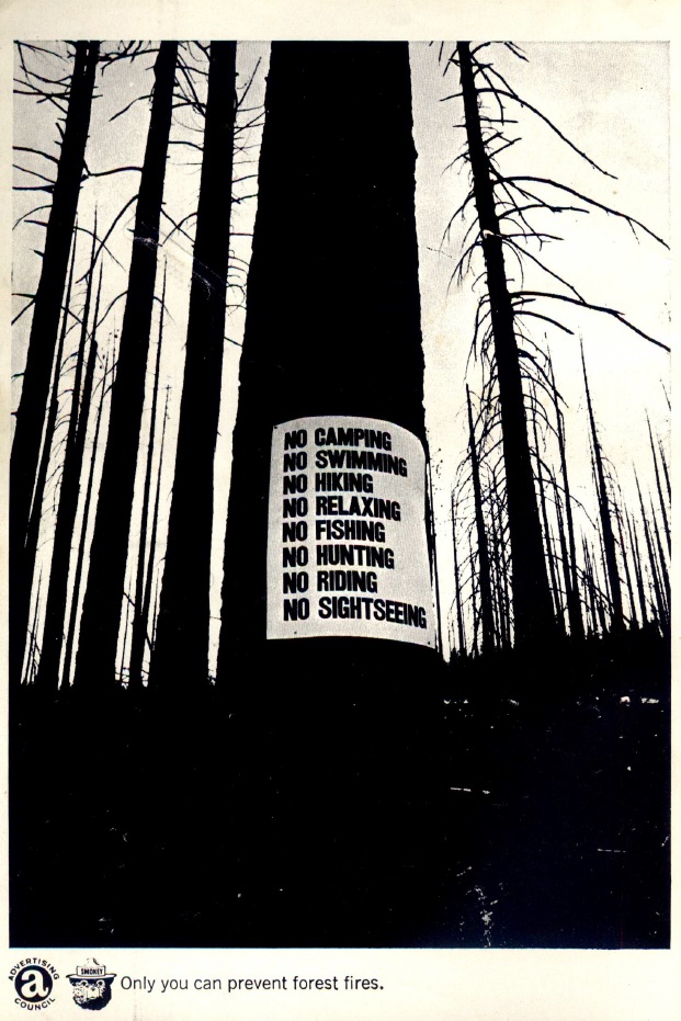 An illustration of a tree with a sign that reads 
NO CAMPING
NO SWIMMING
NO HIKING
NO RELAXING
NO FISHING
NO HUNTING
NO RIDING 
NO SIGHTSEEING