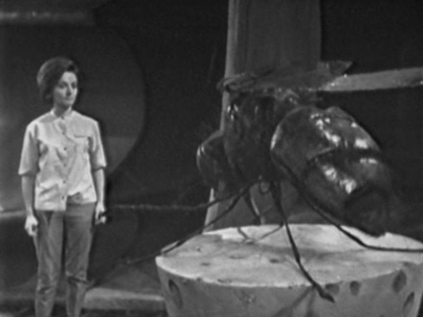 Barbara is confronted by a giant housefly.