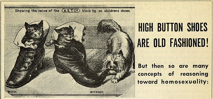 picture of kittens in button-up shoes, and caption "High button shoes are old fashioned! But the so are many concepts of reasoning toward homosexuality.