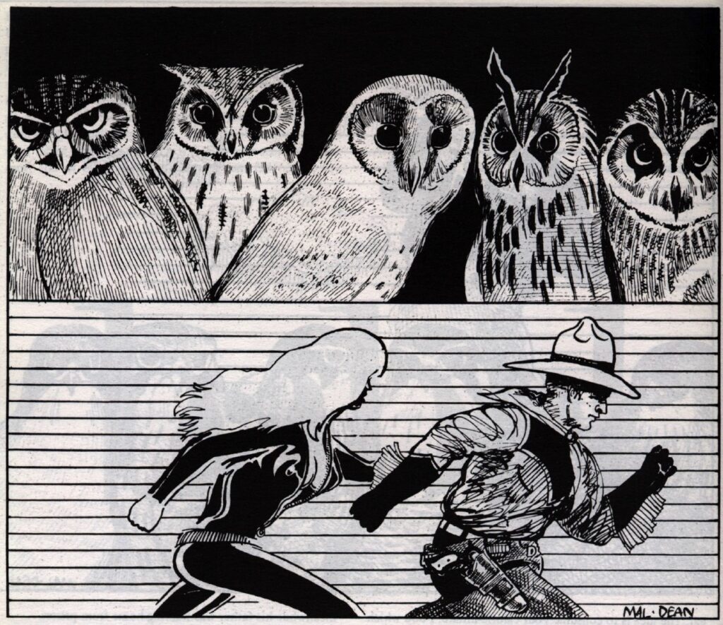 PHOTO: Two images, split horizontally. The top half shows owls. The bottom half has two people running from left to right across the picture. One is a man dressed as a cowboy, the other a woman dressed in a black catsuit. 