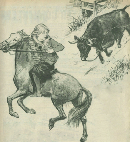 Margaret on her pony rearing as a bull charges at her.