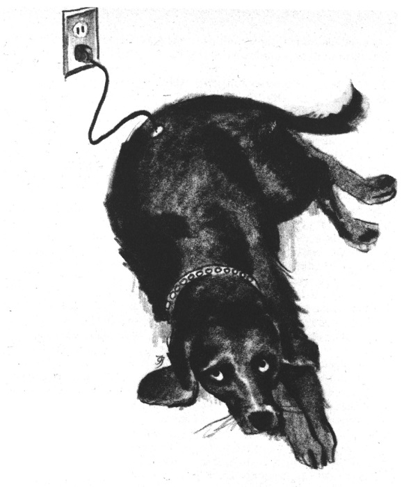 A charcoal drawing of a black dog lying on the floor looking mournfully upward.  An electric cord extends out of its back and plugs into an outlet on the wall behind it.