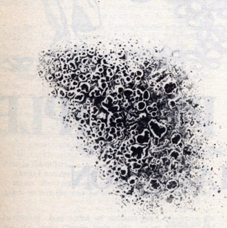 A black and white line drawing of a rust patch