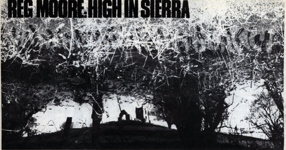 Art for High in Sierra by Reg Moore, a photograph of a jungle