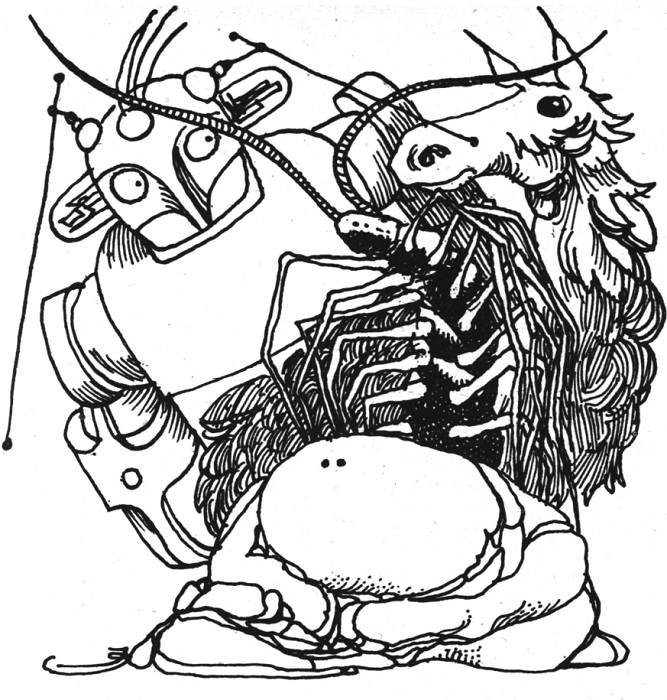 A pen and ink drawing of various creatures standing in a queue as though waiting to be interviewed.  At the front, a blob with no discernible features or limbs is heaped on the floor.  Behind it, a human-sized centiped-type creature with long antennae rises upwards, its many legs extending to the sides and bent downward.  Behind that stands a creature that looks like a cross between a horse and a llama with a long narrow face and thick curly fur.  Its body is pointed toward the right of the image, with its head curving around to look back toward the left.  Behind its haunches stands a robot with light bulbs for ears, several antennae extending from its head, and a friendly-looking expression.  It is leaning to the left around the rear of the horse-creature and its eyes are shifted to the right to look at the creatures in front of it. 