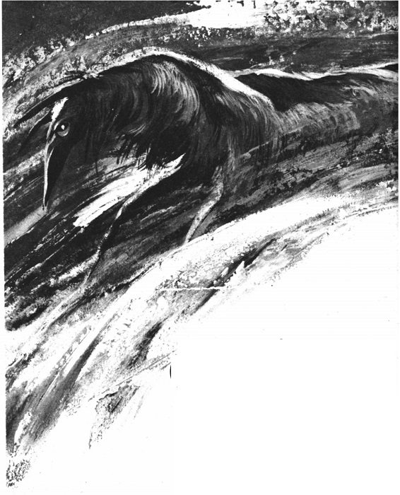 A black and white painting showing a Pharallelian which appears to be standing in a stream or river.  It is a creature with a long narrow face whose nose comes to a point, with long thin ears above.  It has a long straight mane extending down its neck and back.  The forelegs are visible under the long neck but the rest of the body is obscured by the water.