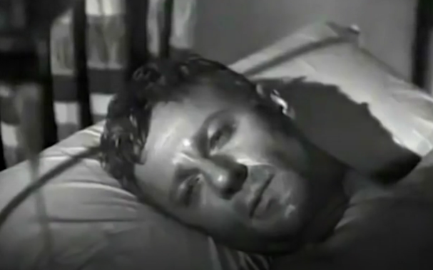 A close-up image of the main character, looking out at the viewer from his place curled up on the bed.