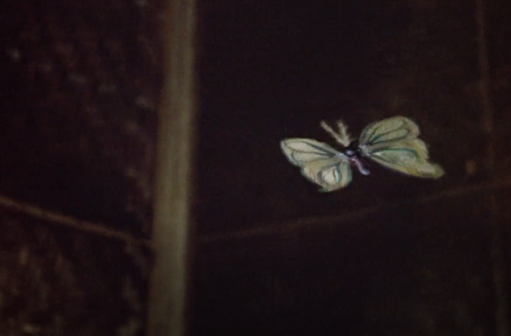 A color image of the moth. It resembles a luna moth, but very fakey.