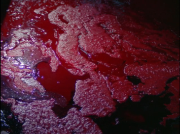 A pool of red viscous, it may be blood but is kept ambiguous