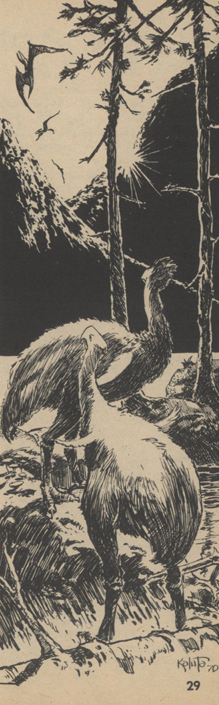 An illustration, black lines on white background. Two emu-like creatures stand beneath two trees, on the shore of a body of water. They stare up at three pteranodon-like creatures swooping far above them.